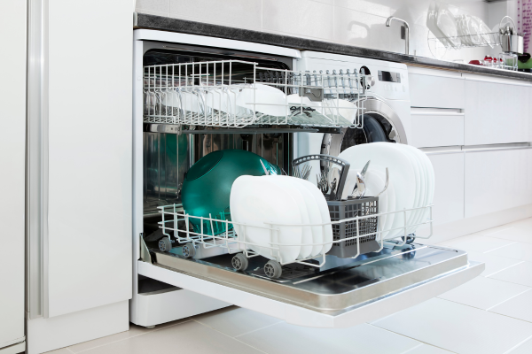 DISHWASHER REPAIR IN WILDOMAR