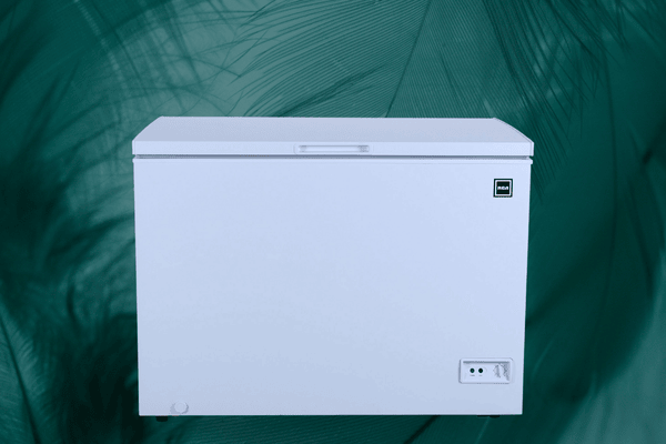 FREEZER REPAIR SERVICE IN WINCHESTER