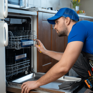 Appliance services - Dishwasher Repair